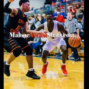 Meet your Posher, Sylvester